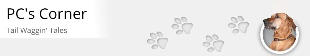 Welcome to Tail Waggin' Tales